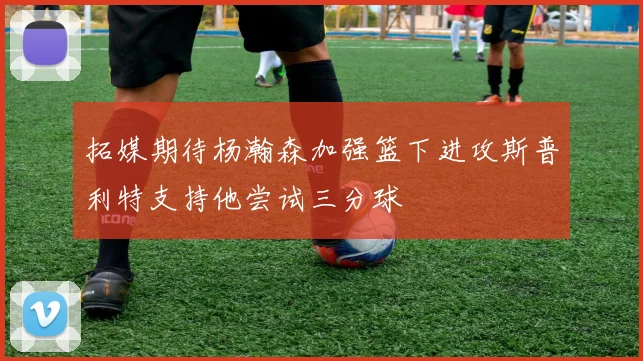 拓媒期待杨瀚森加强篮下进攻斯普利特支持他尝试三分球